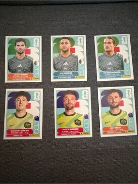 Panini Soccer Stickers